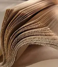 Celulosa y papel