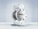 Bomba AODD de PTFE de 1” con cuerpo de PTFE y sección central de acero inoxidable